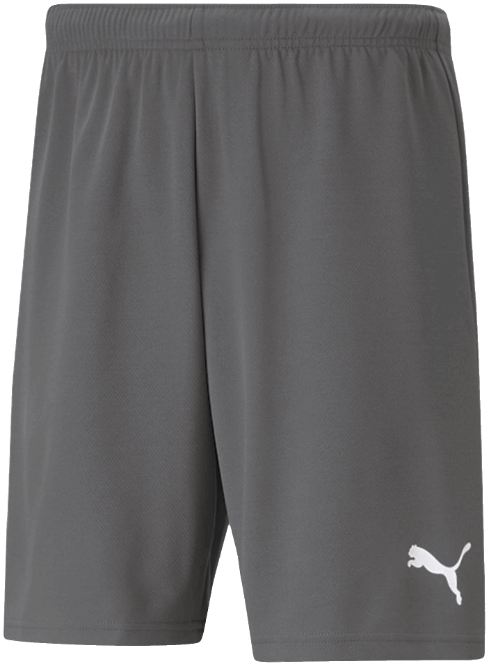Puma Team Rise Fussballshort Team Rise, XXL, grau/weiß