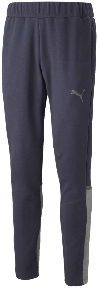 Puma teamCUP Casuals Trainingshose