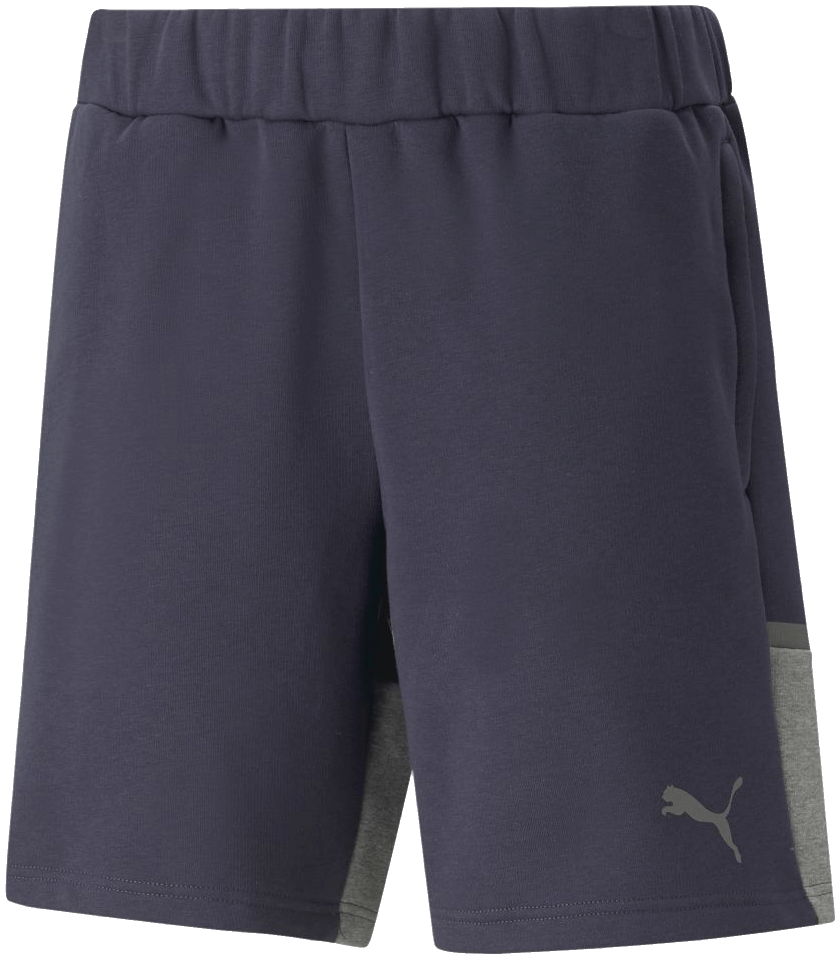 Puma teamCUP Casuals Trainingsshort