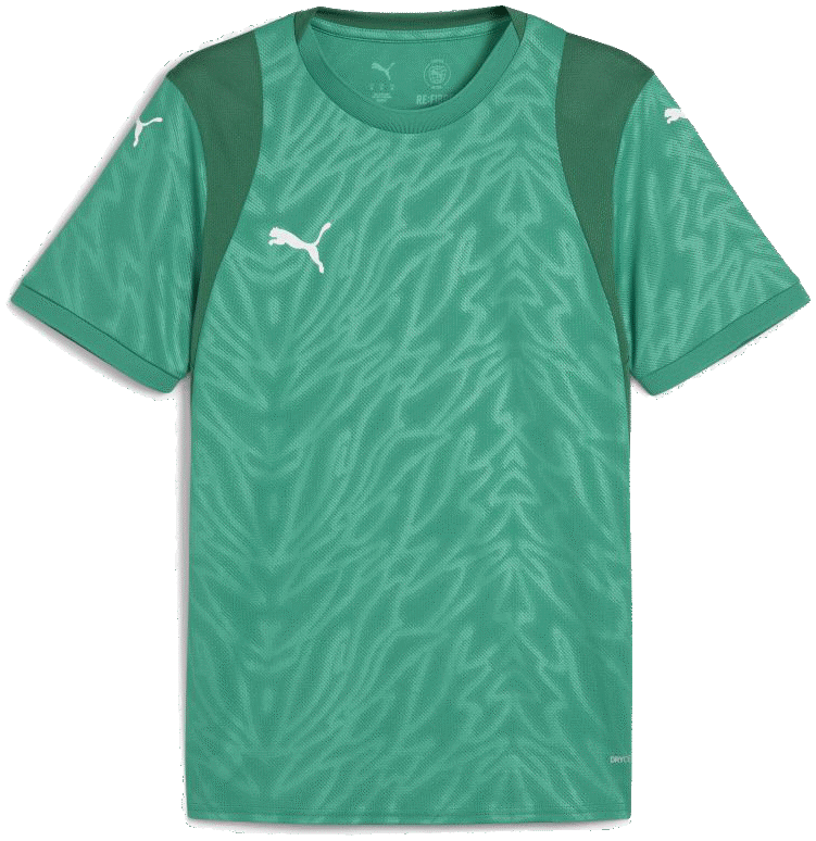 Puma teamCUP Fussball Trikot, 3XL, grün/weiß