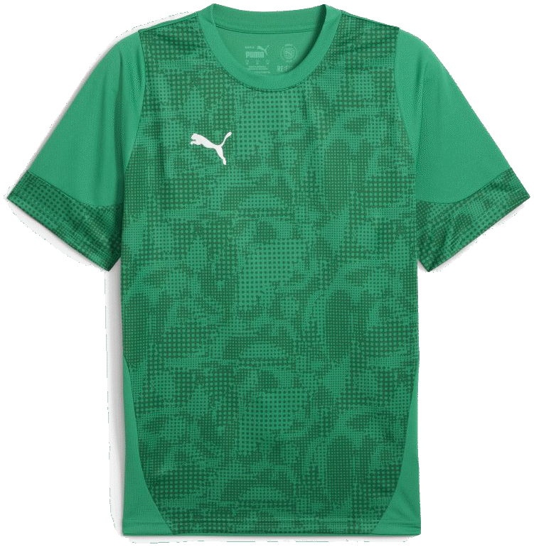 Puma teamCUP Trainingsshirt, 3XL, grün/grau