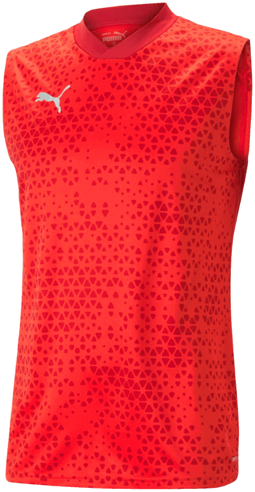 Puma teamCUP Trainingstrikot SL