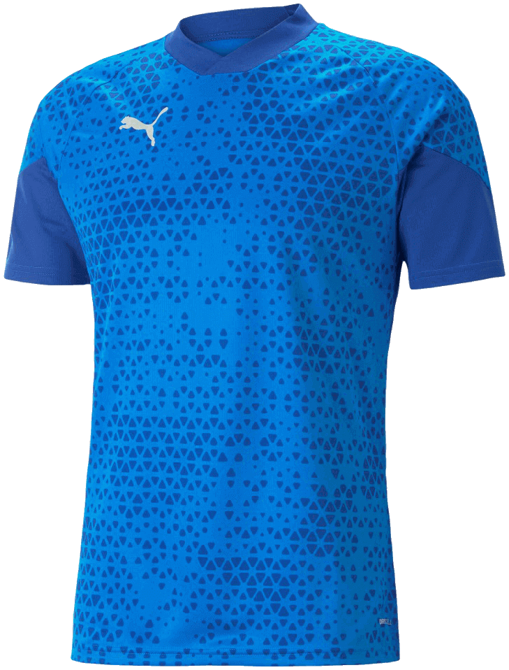 Puma teamCUP Trainingstrikot