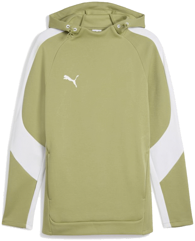 Puma teamEvostripe Hoodie