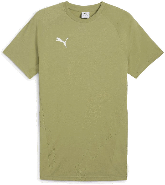 Puma teamEvostripe T-Shirt