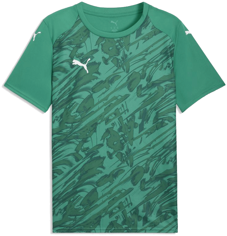 Puma teamFINAL26 Graphic Trikot, 3XL, grün/weiß
