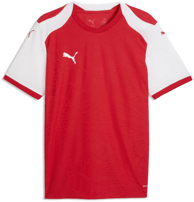 Puma teamFINAL26 Trikot