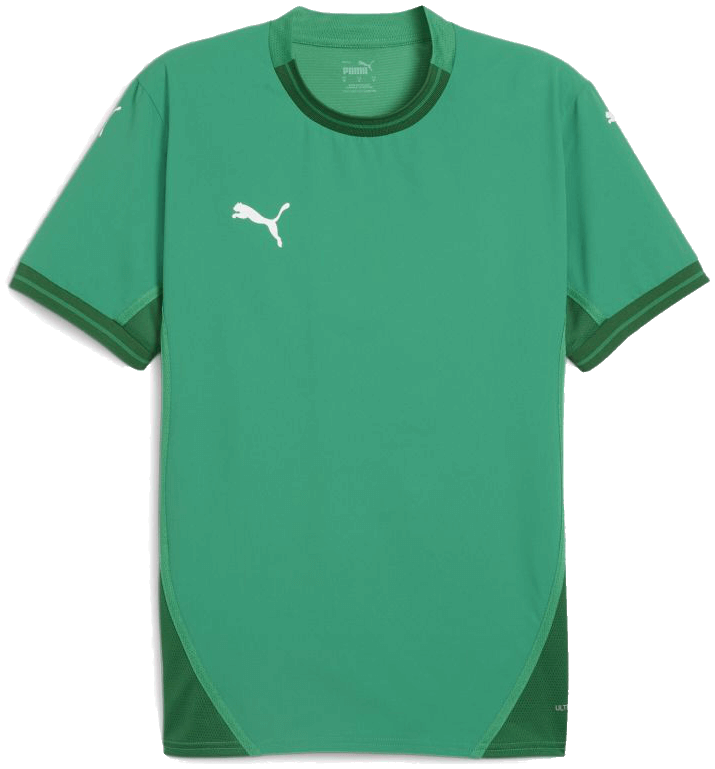 Puma teamFinal Fussball Trikot, 3XL, grün/weiß