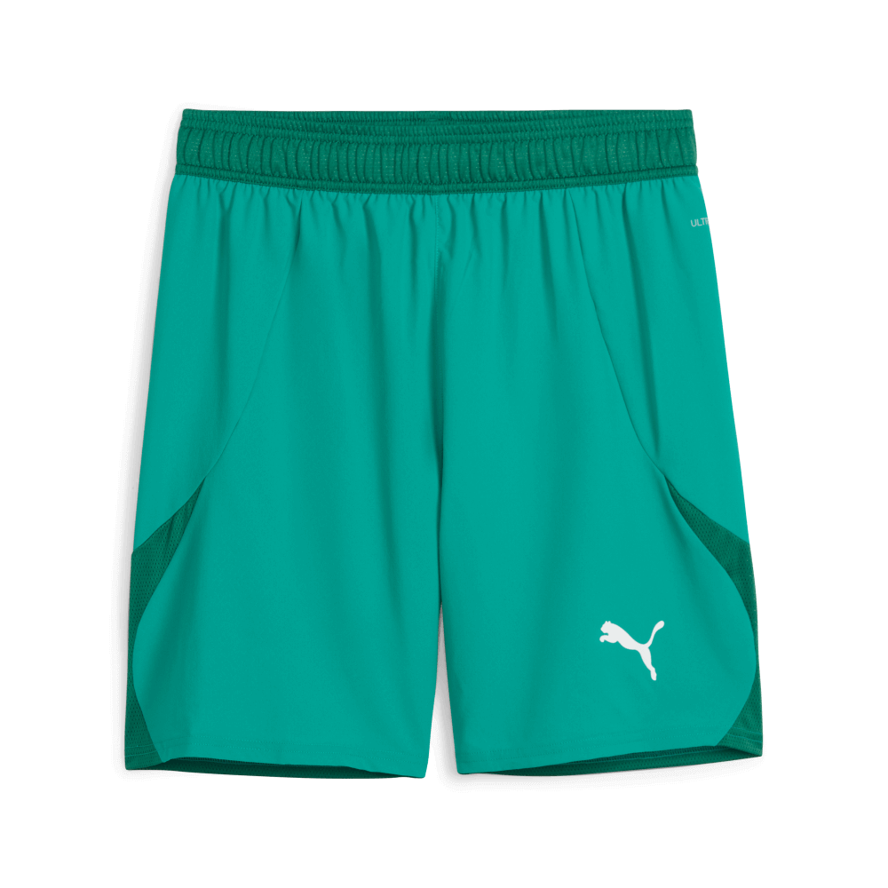 Puma teamFinal Shorts, 3XL, grün/weiß