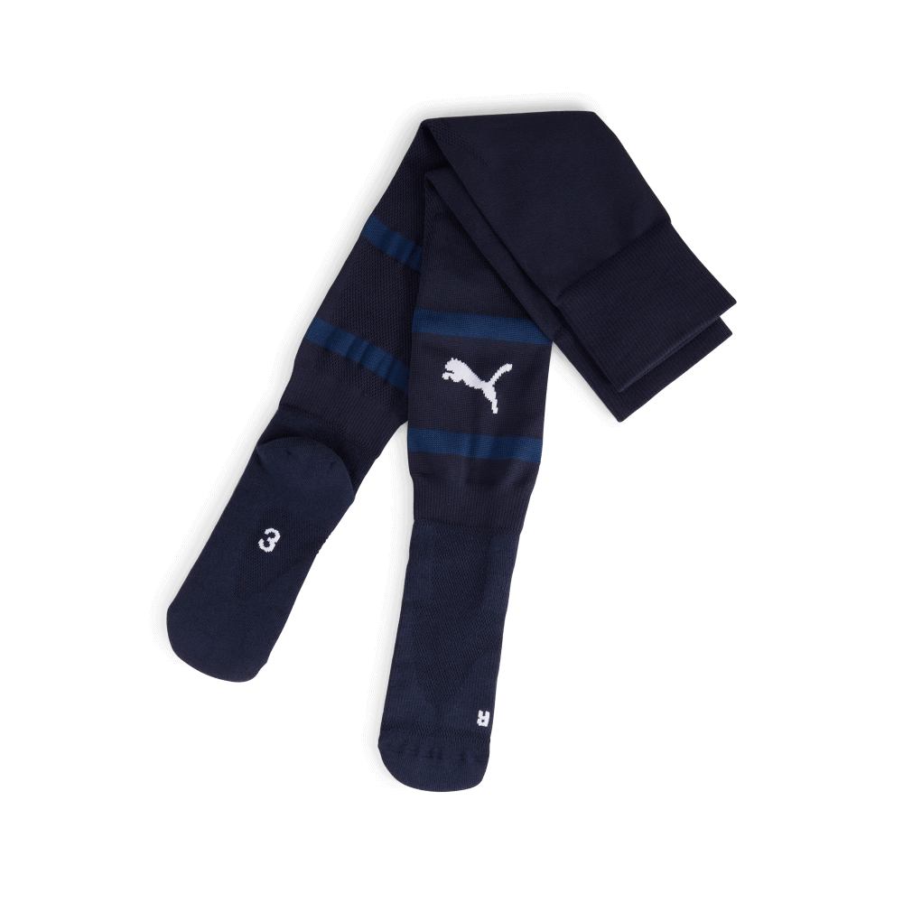 Puma teamFinal Stutzen