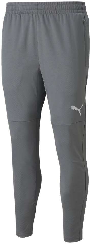 Puma teamFinal Trainingshose