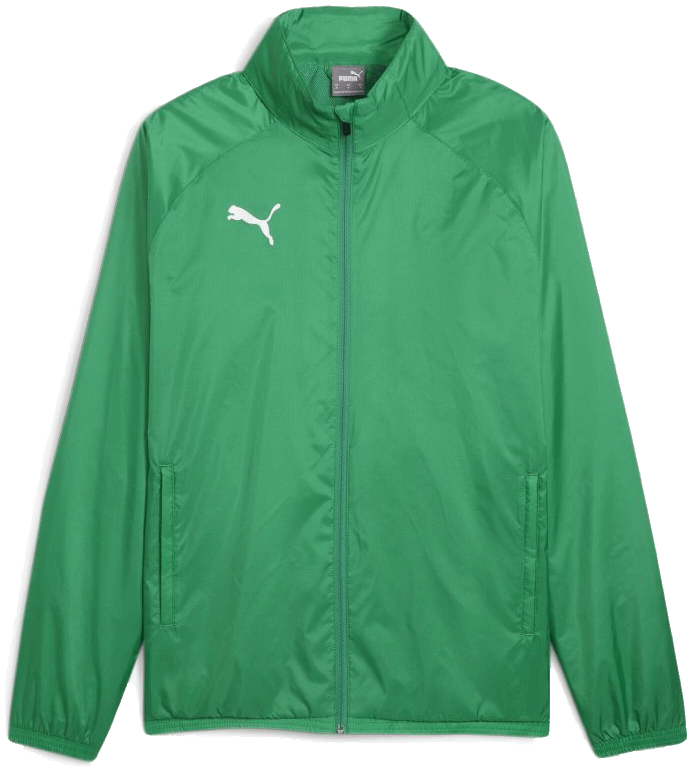Puma teamGoal Allwetterjacke, 176, grün/weiß
