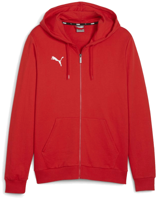 Puma teamGoal Casual Kapuzenjacke