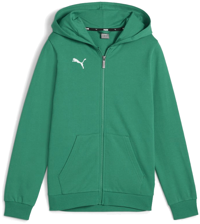 Puma teamGoal Casual Kapuzenjacke, 176, grün/weiß