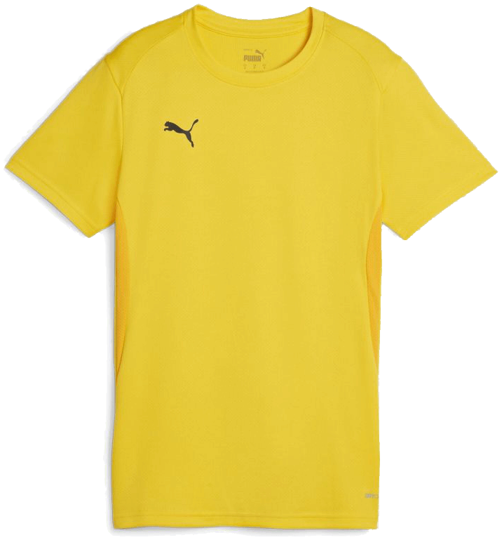 Puma teamGoal Fussball Trikot, 2XL, gelb/schwarz