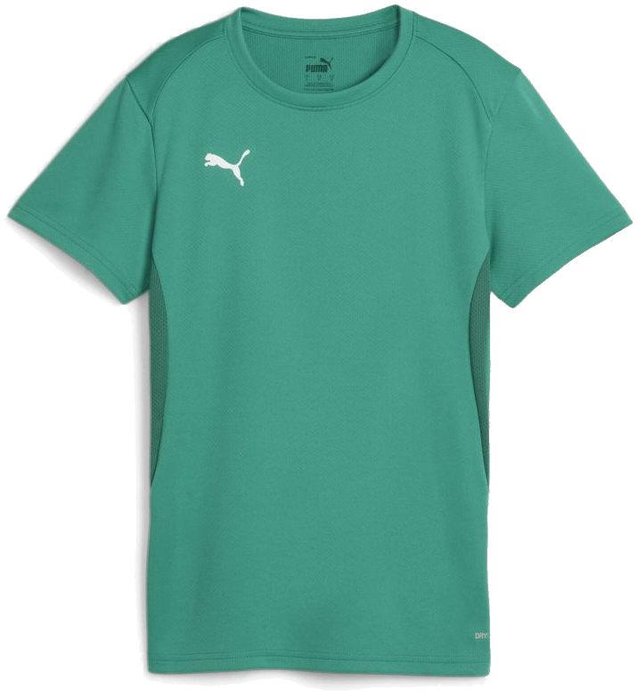 Puma teamGoal Fussball Trikot, 2XL, grün/weiß