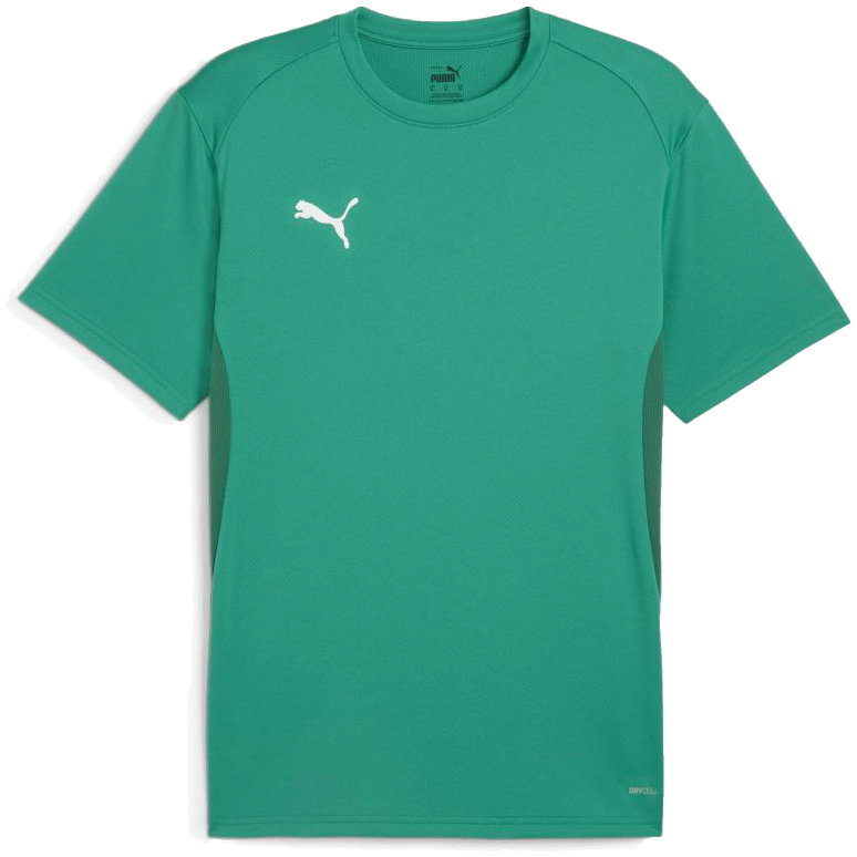 Puma teamGoal Fussball Trikot, 3XL, grün/weiß