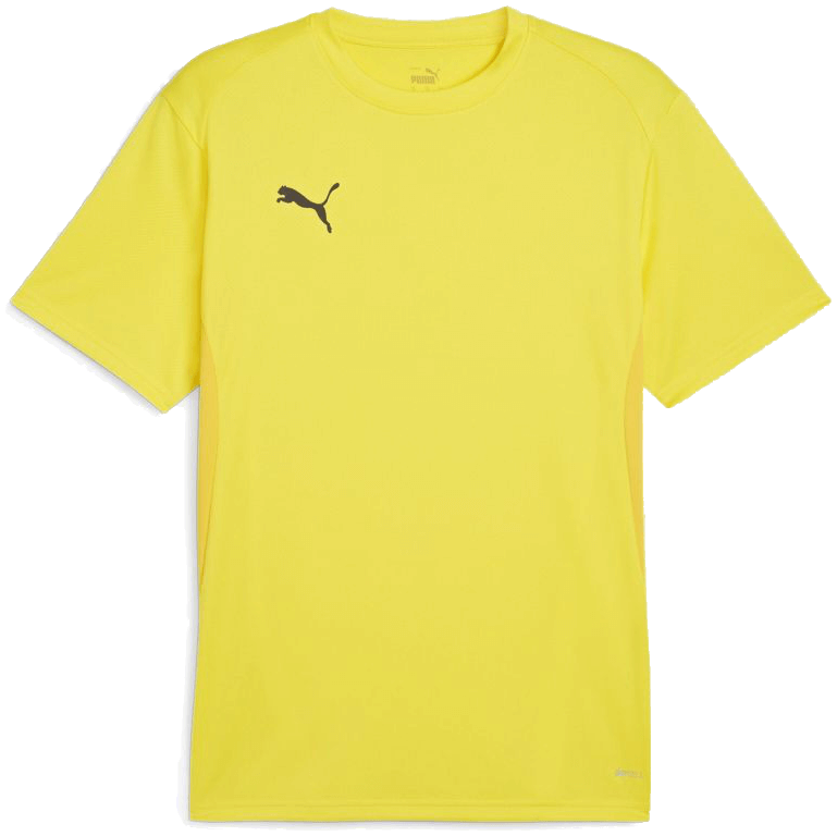 Puma teamGoal Fussball Trikot, 176, gelb/schwarz