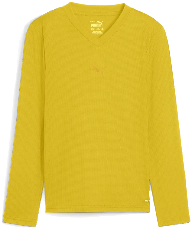 Puma teamGoal Langarmshirt, 176, gelb