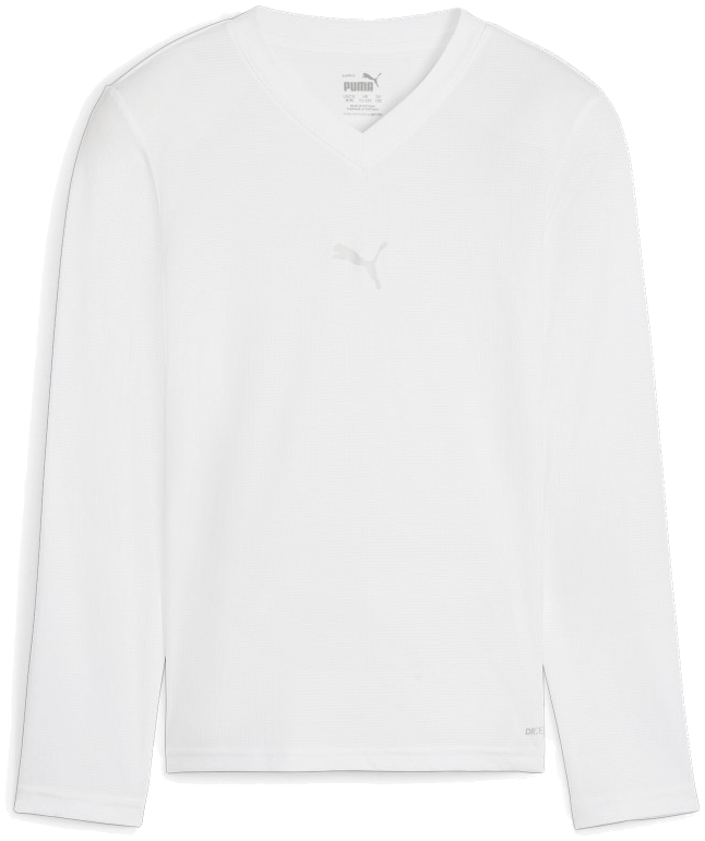 Puma teamGoal Langarmshirt, 176, weiß/grau