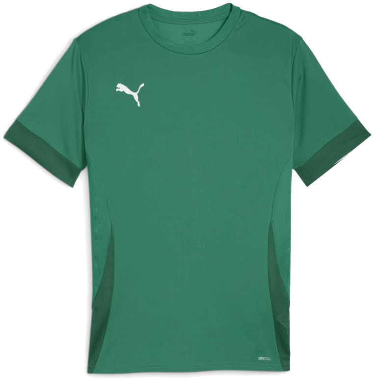 Puma teamGoal Matchday Trikot, 3XL, grün/weiß