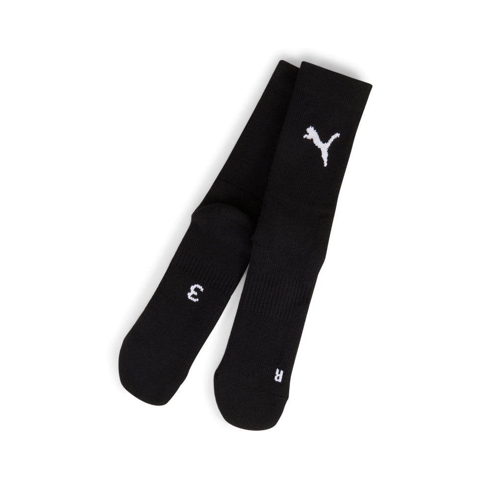 Puma teamGoal Performance Socken