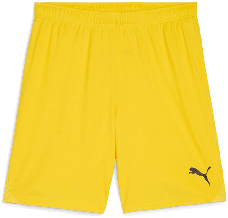 Puma teamGoal Shorts, 3XL, gelb/schwarz