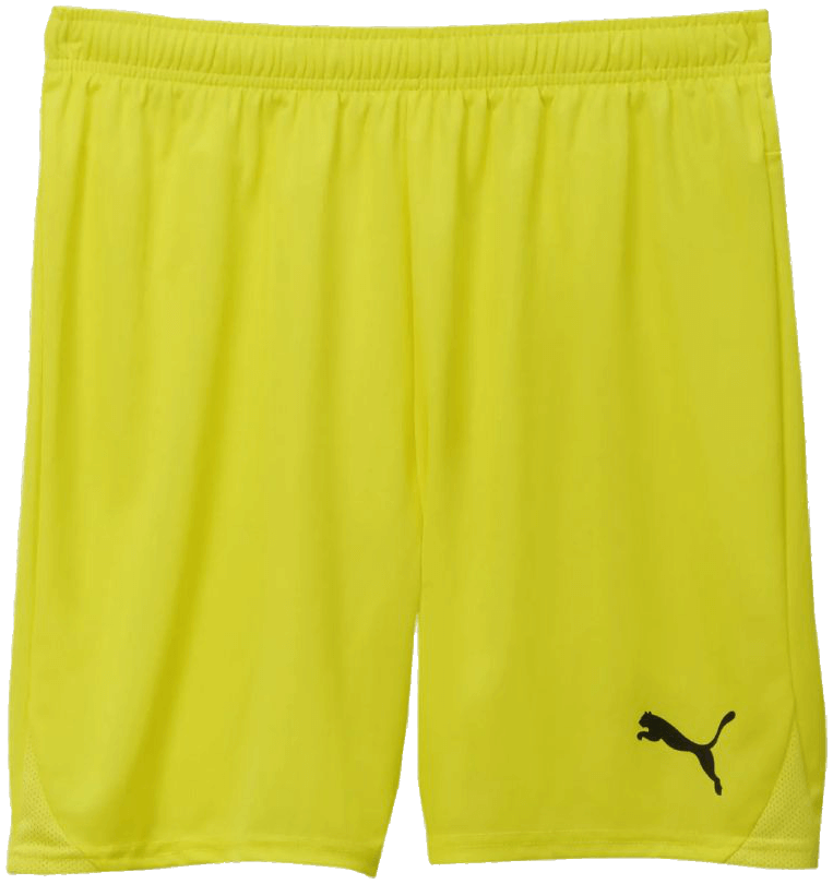 Puma teamGoal Shorts, XL, neongelb