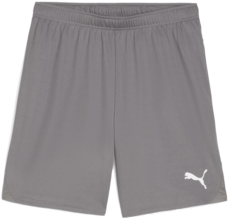 Puma teamGoal Shorts, 3XL, grau/weiß