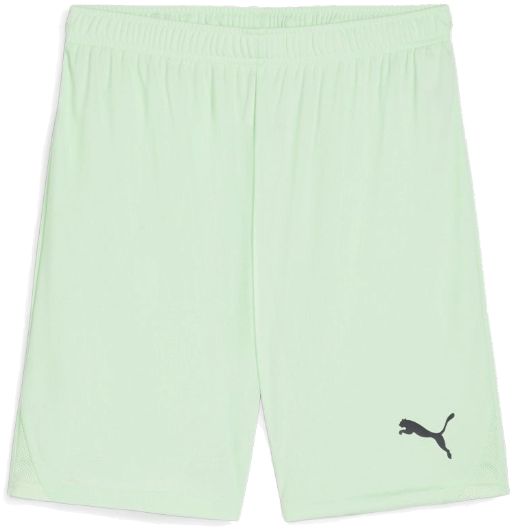 Puma teamGoal Shorts, 3XL, mint/schwarz