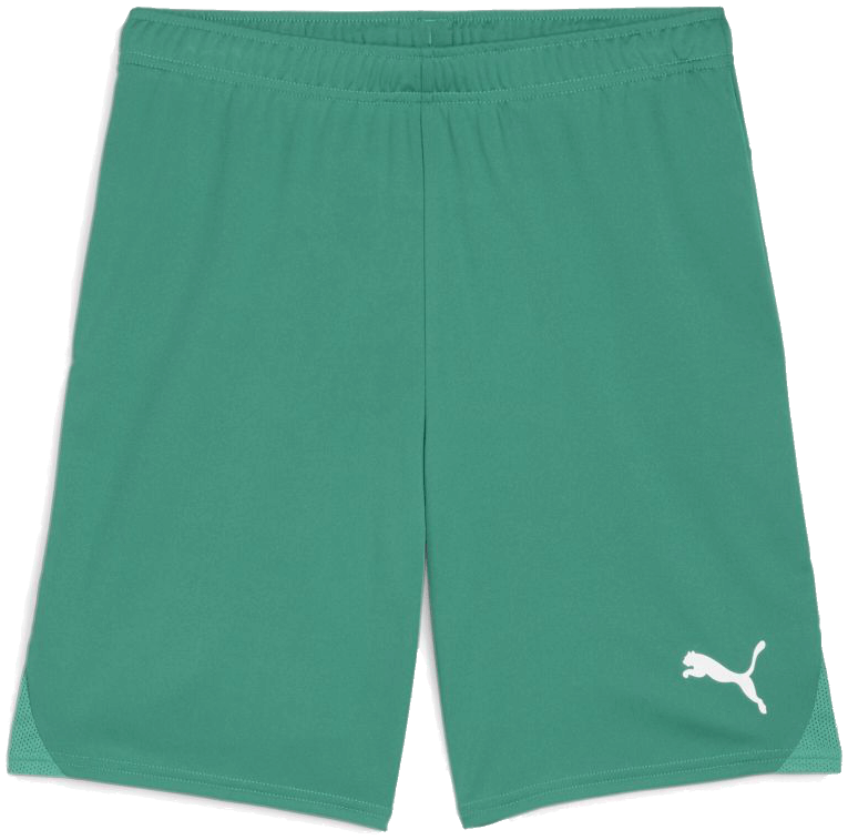 Puma teamGoal Shorts, 3XL, grün/weiß