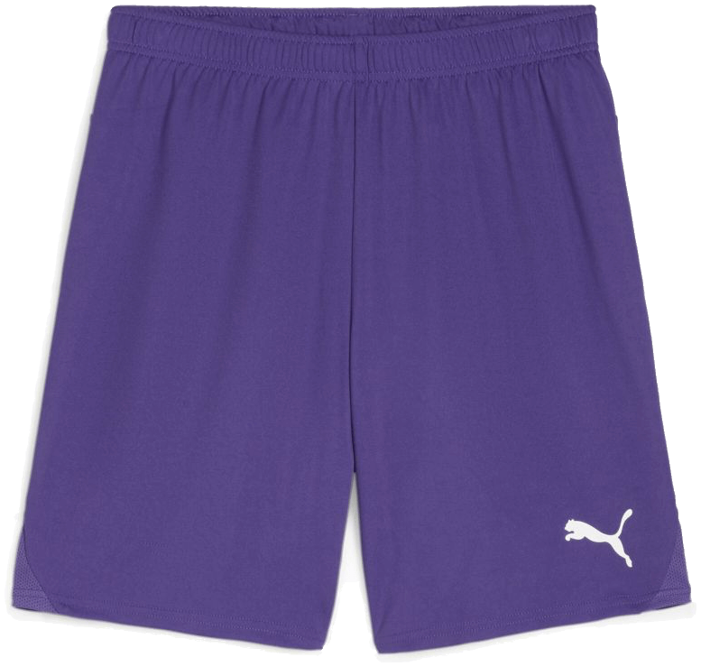 Puma teamGoal Shorts, 3XL, violett