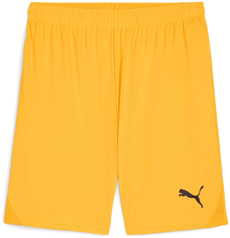 Puma teamGoal Shorts, 3XL, orange/schwarz