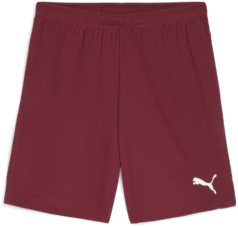 Puma teamGoal Shorts
