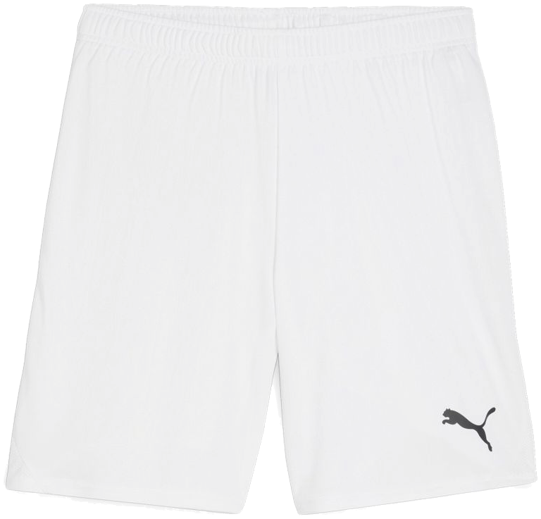 Puma teamGoal Shorts, 3XL, weiß/schwarz