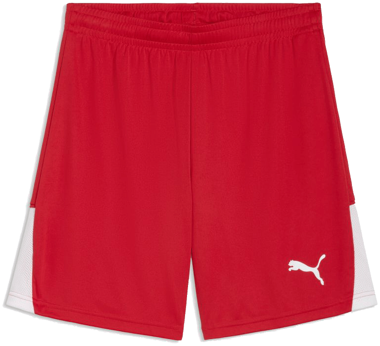 Puma teamLIGA 26 Shorts