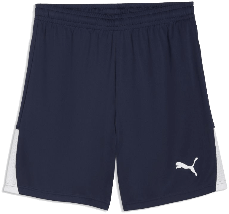 Puma teamLIGA26 Shorts, 3XL, marine/weiß