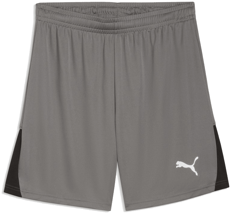 Puma teamLIGA26 Shorts, 3XL, grau/weiß