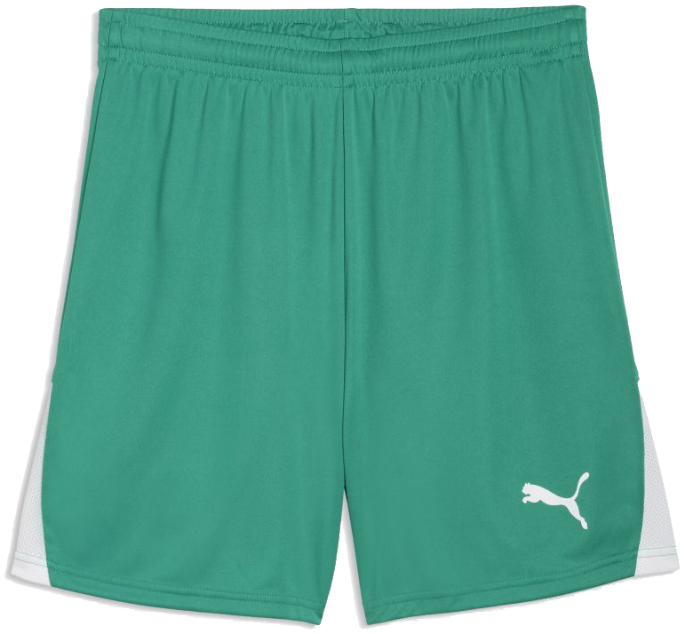 Puma teamLIGA26 Shorts, 3XL, grün/weiß