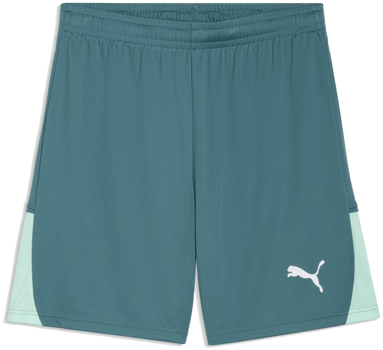 Puma teamLIGA26 Shorts, 3XL, dunkelgrün/weiß
