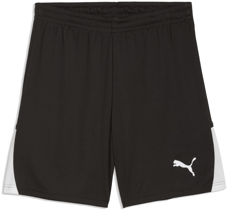 Puma teamLIGA26 Shorts, 3XL, schwarz/weiß
