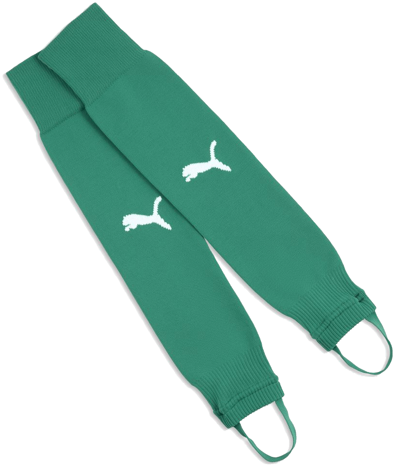 Puma teamLIGA26 Torwart Stegstutzen Core Stirrup, 47-49, grün/weiß