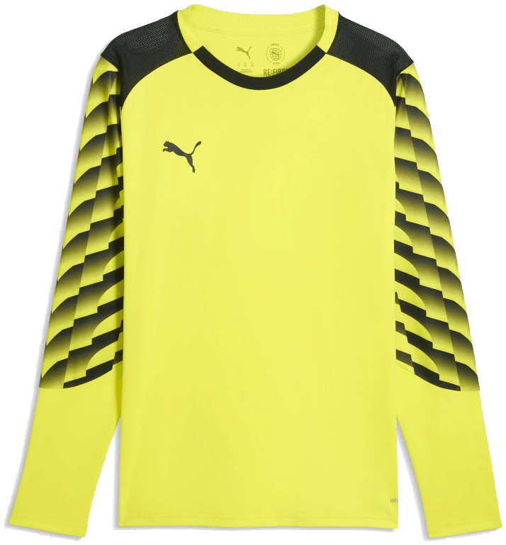 Puma teamLIGA26 Torwarttrikot