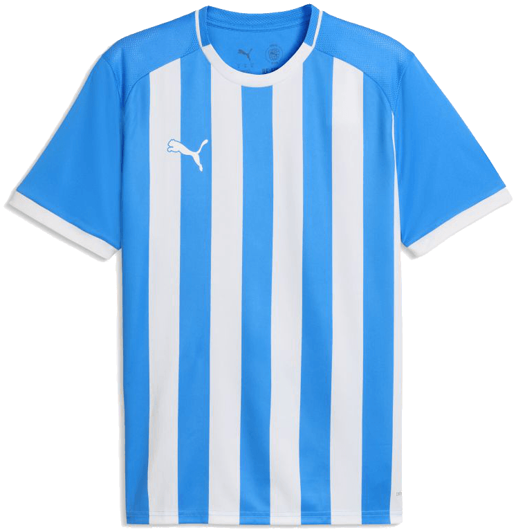 Puma teamLIGA26 Trikot Striped, 176, blau/weiß