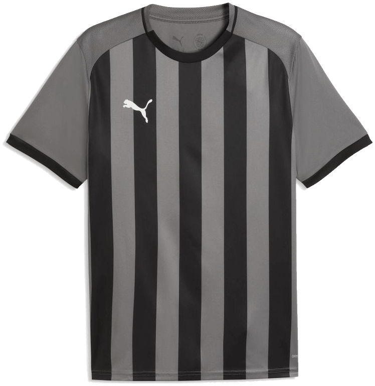Puma teamLIGA26 Trikot Striped, 176, grau/weiß