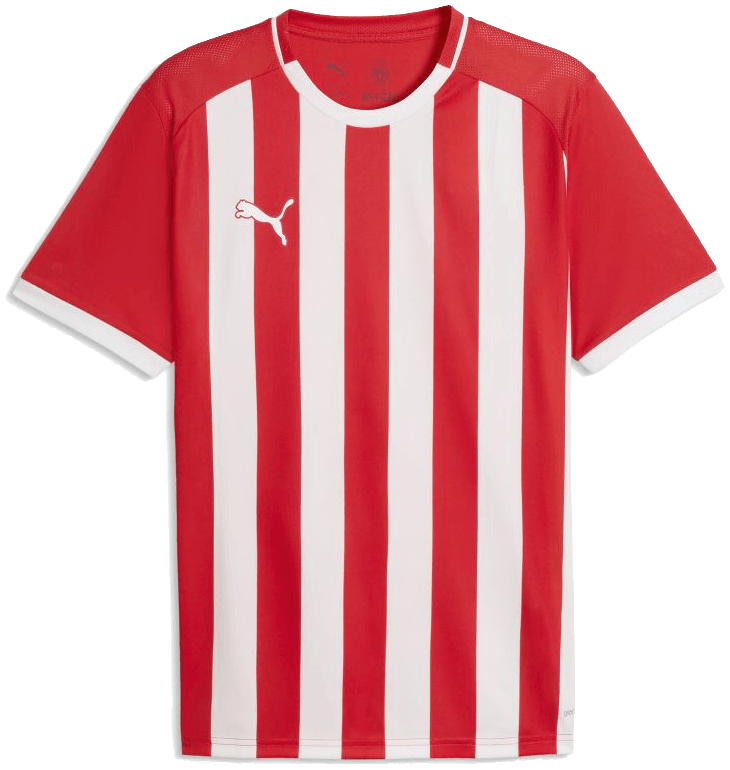 Puma teamLIGA26 Trikot Striped, 176, rot/weiß