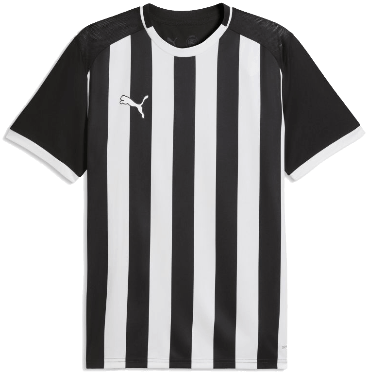 Puma teamLIGA26 Trikot Striped, 176, schwarz/weiß