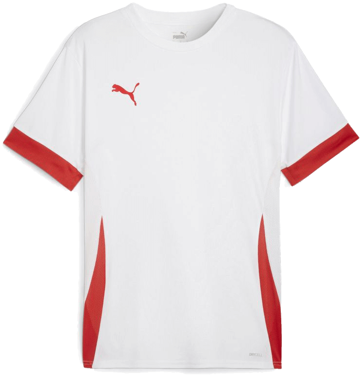 Puma Fußball teamGOAL Matchday Trikot Herren blau weiß Gr XS